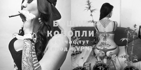 твердый Верхний Тагил