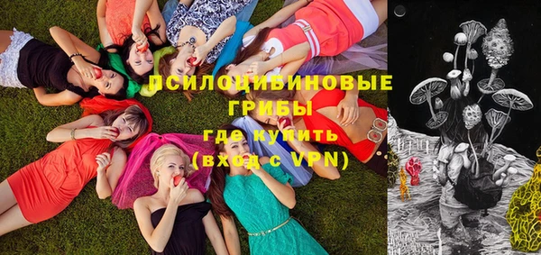 прущая мука Верея