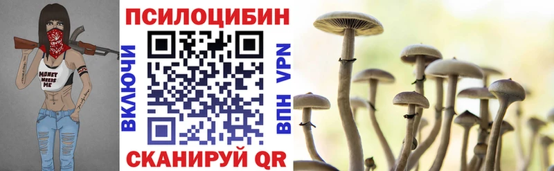 Галлюциногенные грибы мицелий  хочу   Инта 
