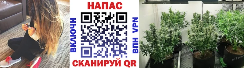 наркошоп  MEGA ссылка  Конопля White Widow  Инта 
